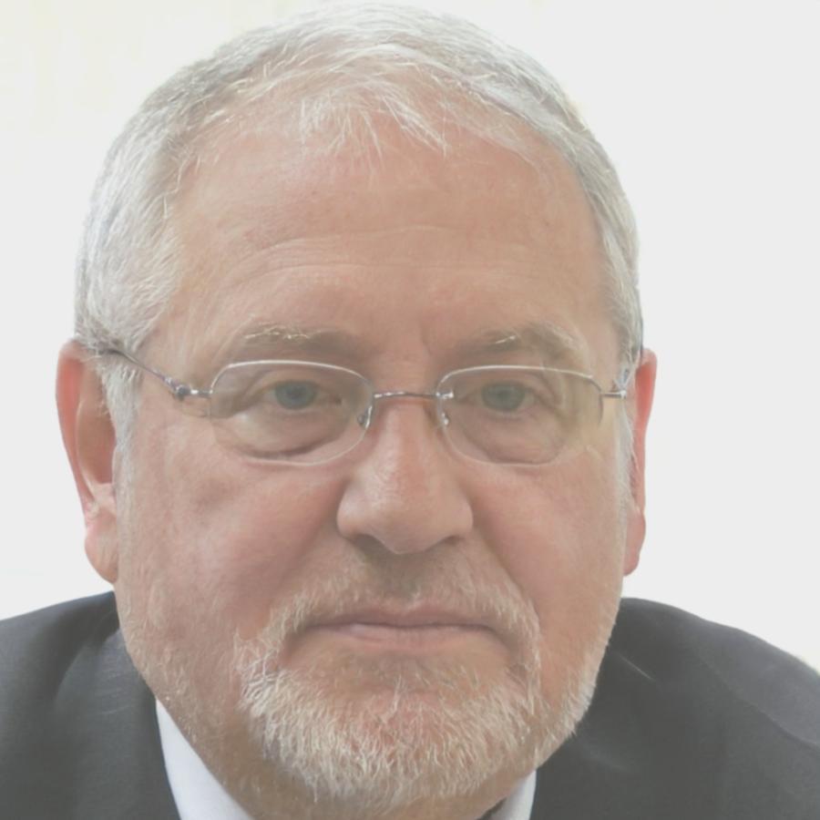 Michael Schmidt - Portfoliomanager bei brilovanthurexa